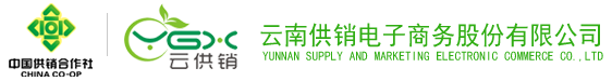 ng28娱乐电子商务股份有限公司